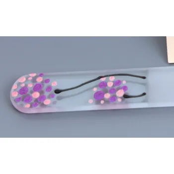 Pilník skleněný malý - růžovo fialové květy