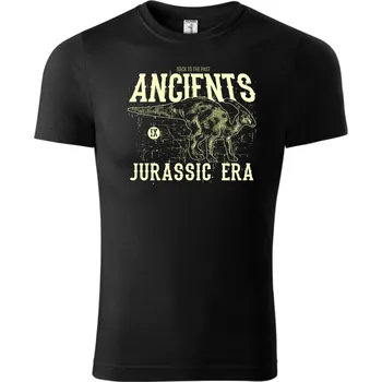 Chlapecké tričko Fenomeno Dětské tričko Jurassic era Velikost: 158cm/12 let