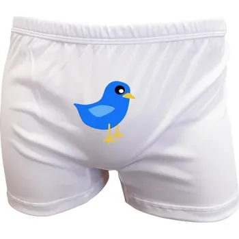 Trenýrky Trenýrky s potiskem Trenýrky Birdie pánské