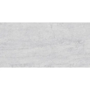 Dlažba Dignity light grey mat - dlaždice rektifikovaná 59,7x119,7 šedá 165715