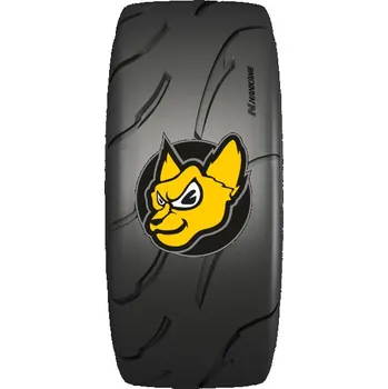 Letní osobní pneu Nankang AR-1 Sportnex 325/30 ZR21 108Y XL Semi-slick