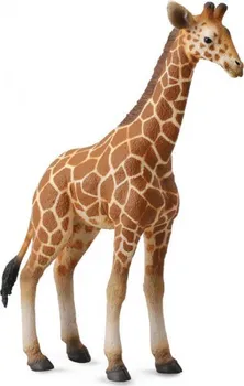 Figurka Collecta 88535 Žirafí mládě