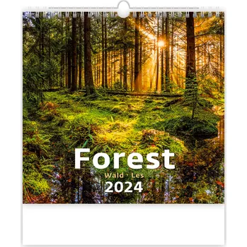 Kalendář Helma365 Nástěnný kalendář Forest/Wald/Les 2024