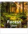 Kalendář Helma365 Nástěnný kalendář Forest/Wald/Les 2024