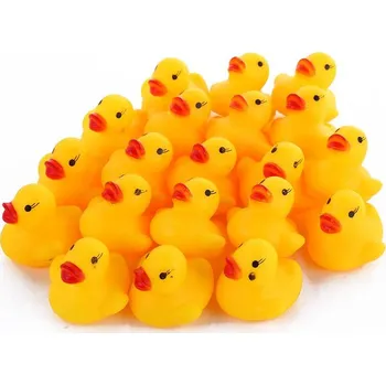 Kachničky pro vodní zábavu | 20 kusů