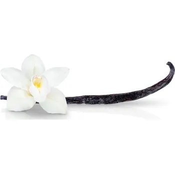 Koření Eurovanille Vanilkový lusk HUAHINE Prodávané množství: 1 lusk