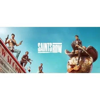 Počítačová hra Saints Row (PC) (Steam)