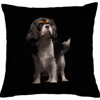 Dekorativní polštářek Polštář bavlněný s potiskem Oblíbený kavalír