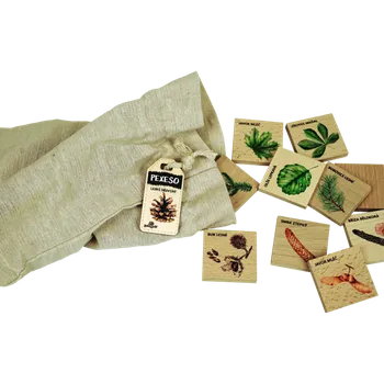 Pexeso Pexeso poznávací malé - Lesní dřeviny ENG