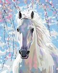 Zuty Bílý kůň 40 x 50 cm vypnuté plátno…