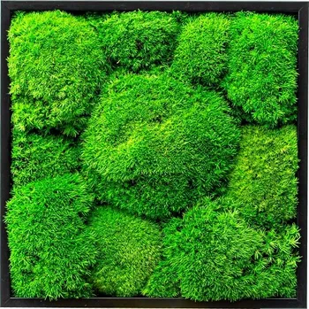 Obraz Gardners Mechový obraz 22x22 cm z kopečkového mechu, černá