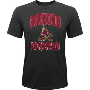 Pánské tričko Fanatics Triko All Time Arizona Coyotes JR, Velikost S 958158