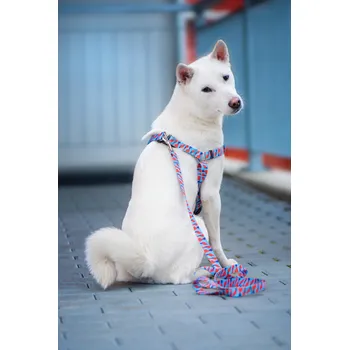 Postroj pro psa Vsepropejska Geo modro-červený postroj pro psa Barva: Modro-červená, Obvod hrudníku: 32 - 43 cm