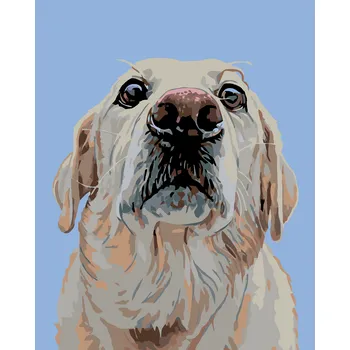 ZUTY Malování podle čísel - LABRADOR Rozměr: 40x50 cm, Rámování: bez rámu a bez vypnutí plátna