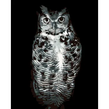 ZUTY Malování podle čísel - ČERNOBÍLÁ SOVA Rozměr: 40x50 cm, Rámování: bez rámu a bez vypnutí plátna