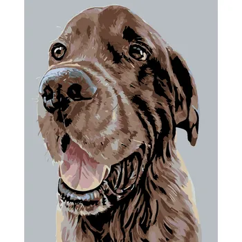 ZUTY Malování podle čísel - KRÁSNÝ HNĚDÝ SETR Rozměr: 80x100 cm, Rámování: bez rámu a bez vypnutí plátna