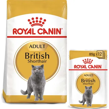 Krmivo pro kočku ROYAL CANIN ADULT British Shorthair 2 kg + kapsičky v omáčce 12× 85 g