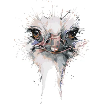 ZUTY Malování podle čísel - PŠTROSÍ HLAVA Rozměr: 40x50 cm, Rámování: vypnuté plátno na rám