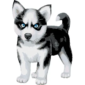 ZUTY Malování podle čísel - MODROOKÝ HUSKY Rozměr: 40x50 cm, Rámování: bez rámu a bez vypnutí plátna