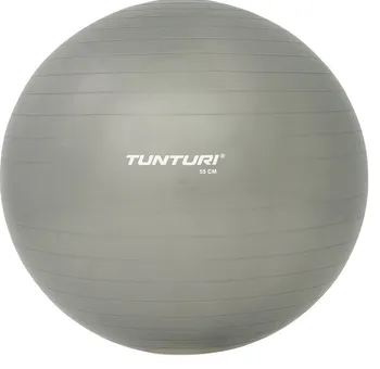 Gymnastický míč Tunturi Gymnastický míč s pumpičkou 65 cm