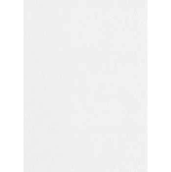 Tapeta DIMEX | Vliesová tapeta na zeď WPE-901059 | 0,53 x 10,05 m | bílá přetíratelná + Bílá, přetíratelná vliesová tapeta na stěnu WPE901059 v rozměru 0,53 x 10,05 m