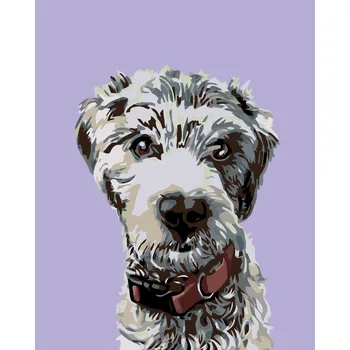 ZUTY Malování podle čísel - CHLUPÁČ S ČERVENÝM OBOJKEM Rozměr: 40x50 cm, Rámování: bez rámu a bez vypnutí plátna