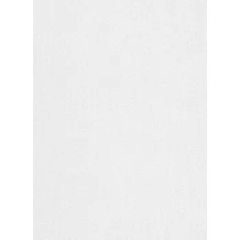 Tapeta DIMEX | Vliesová tapeta na zeď WPE-901045 | 0,53 x 10,05 m | bílá přetíratelná + Bílá, přetíratelná vliesová tapeta na stěnu WPE901045 v rozměru 0,53 x 10,05 m