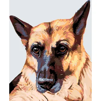 ZUTY Malování podle čísel - VLČÁK Rozměr: 40x50 cm, Rámování: vypnuté plátno na rám