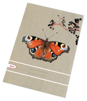 Sešit Papírny Brno Ecology A4/464 60 listů linkovaný motýl