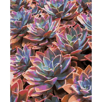 ZUTY Malování podle čísel - BAREVNÉ PUPOVICE Rozměr: 40x50 cm, Rámování: bez rámu a bez vypnutí plátna