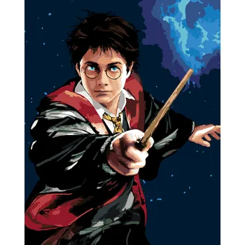 ZUTY Malování podle čísel - HARRY POTTER A HŮLKA Rozměr: 40x50 cm, Rámování: bez rámu a bez vypnutí plátna