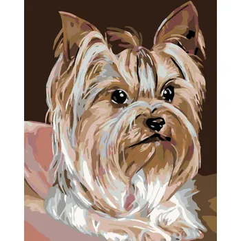 ZUTY Malování podle čísel - JORKŠÍRKA Rozměr: 40x50 cm, Rámování: bez rámu a bez vypnutí plátna