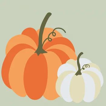 Malování podle čísel - Dvě pastelové dýně Velikost: 50x50cm, Rámování: Pouze srolované plátno