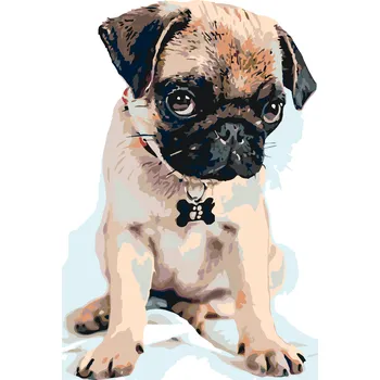 ZUTY Malování podle čísel - ROZTOMILÝ MOPSÍK Rozměr: 40x50 cm, Rámování: bez rámu a bez vypnutí plátna