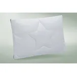 Ložnice21, Ložnice21. Polštář Climafit s obsahem konopí Rozměr: 40x60 cm zip+vak (500 g)