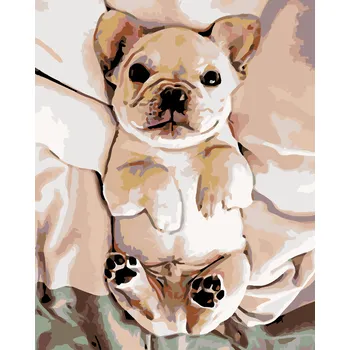 Hračka ZUTY Malování podle čísel - MALÉ ŠTĚNĚ BULDOČKA Rozměr: 40x50 cm, Rámování: vypnuté plátno na rám