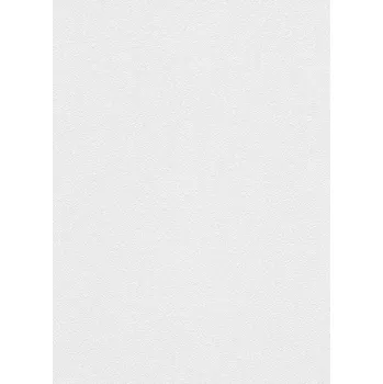Tapeta DIMEX | Vliesová tapeta na zeď WPE-901052 | 1,06 x 25 m | bílá přetíratelná + Bílá, přetíratelná vliesová tapeta na stěnu WPE901052 v rozměru 1,06 x 25 m