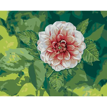 ZUTY Malování podle čísel - JIŘINA MEZI LISTY Rozměr: 40x50 cm, Rámování: bez rámu a bez vypnutí plátna