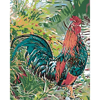 ZUTY Malování podle čísel - KOHOUT V TRÁVĚ Rozměr: 40x50 cm, Rámování: bez rámu a bez vypnutí plátna