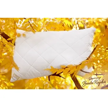 Polštář Ložnice21. Náhradní povlak na polštář Aloe Vera Rozměr: 50x70 cm