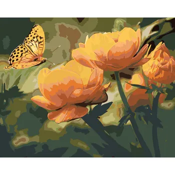 ZUTY Malování podle čísel - MOTÝL A ORANŽOVĚ KVĚTINY Rozměr: 40x50 cm, Rámování: bez rámu a bez vypnutí plátna