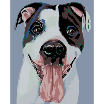 ZUTY Malování podle čísel - ČERNOBÍLÝ HAFAN Rozměr: 40x50 cm, Rámování: bez rámu a bez vypnutí plátna