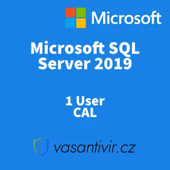 Operační systém Microsoft SQL Server 2019 Standard 1 User CAL 359-06866