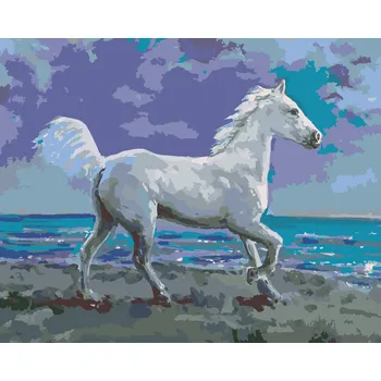 Hračka ZUTY Malování podle čísel - BÍLÝ KŮŇ NA BŘEHU Rozměr: 40x50 cm, Rámování: vypnuté plátno na rám