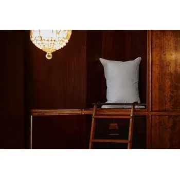 Polštář Ložnice21, Ložnice21. Péřový polštář Charmbed Secret Rozměr: 50 x 70 cm