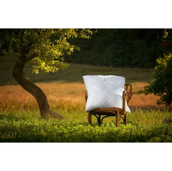 Polštář Ložnice21, Ložnice21. Náhradní povlak na polštář Silver Origin Rozměr: 50x70 cm