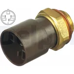 Teplotní spínač, větrák chladiče Delphi TS10341