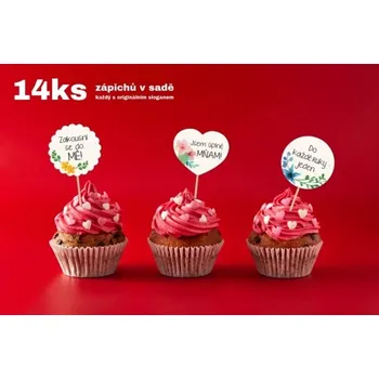 Party nádobí Zápichy do cupcakes - květiny - 14 ks