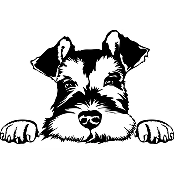 Vsepropejska Knírač malý dřevěná dekorace na zeď