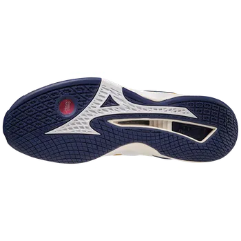 Pánská sálová obuv Mizuno Stealth Neo 43 sálová házenkářská obuv pánská 11